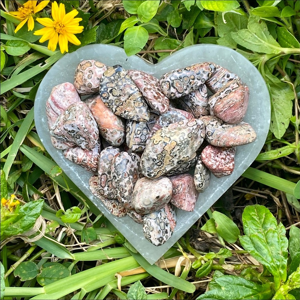 (2) Tumbled Leopardskin Jasper Stones